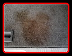 stained carpet to be cleaned by Fifty Dollar Detail